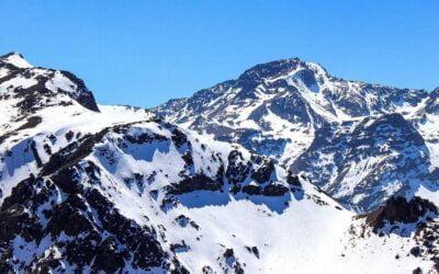 Vero est necessitatibus quaerat