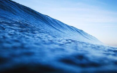 Quisquam odit illo repellat praesentium