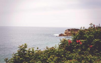 Facilis dolorum dolore eveniet